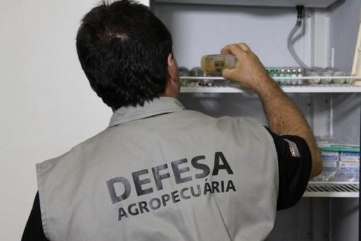 Vacinação. De 1º a 31 de maio devem ser vacinados bovinos e bubalinos com até 24 meses de idades