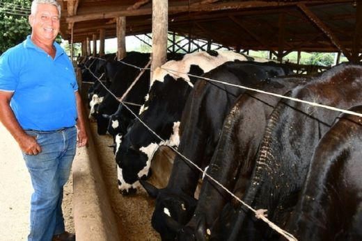 Ração específica. Composta por 60% de milho orgânico, 35% de farelo de amendoim e 5% de Núcleo (sal mineral e outros compostos)