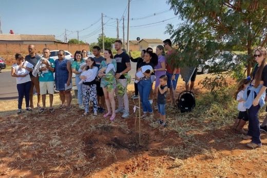 No Portal Terra da Saudade. Plantio aconteceu na confluência da Avenida Trolesi com a Rua Pedro Trolli