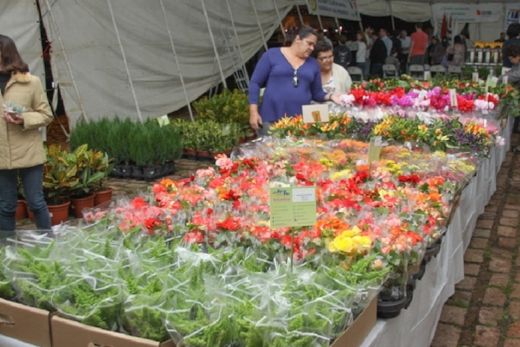 A Expoflor. Além da comercialização de flores e plantas, entre os próximos dias 15 e 18, a feira também terá área de alimentação com música ao vivo