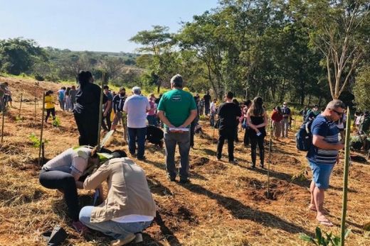 O plantio no 'Pulmão Verde'. Grupo Matão+Verde recebeu o apoio do Grupo Escoteiro Terra da Saudade