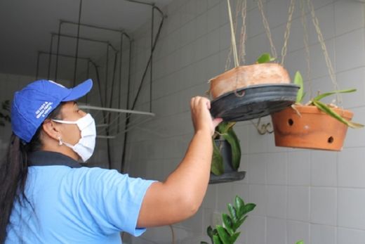 Prevenção. Agentes de vigilância sanitária continuam os trabalhos para evitar a proliferação do mosquito transmissor da dengue