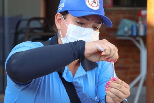 Amostra recolhida. Estratégia para aumentar a eficácia no combate ao mosquito transmissor da dengue