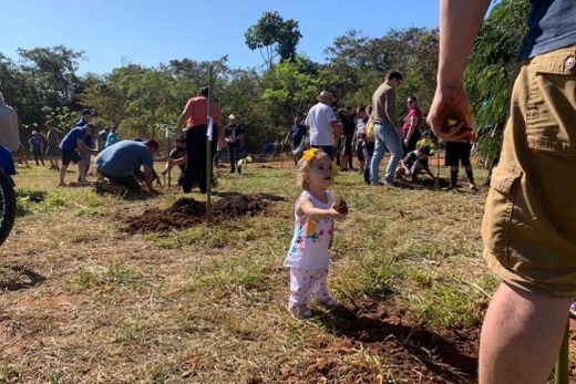 No plantio. A pequenina Manuela Fontalva Vieira, de somente um ano e quatro meses, quer ajudar