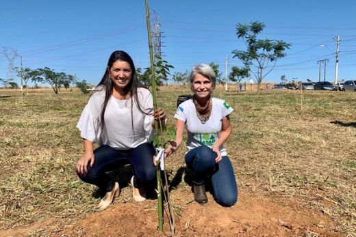 Ana Mondini e Maria Aparecida Bellintani Ourique de Carvalho. Plantio homenageou 75 crianças que nasceram em junho na cidade