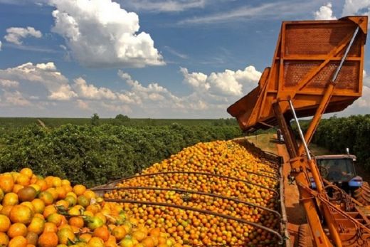 Destinos. Suco de laranja brasileiro é exportado para Europa (63,61%), Estados Unidos (20,75%), China (8,3%), Japão (3,5%) e outros mercados (3,84%)