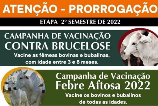 Vacinação prorrogada. Imunizações poderão ser feitas até o próximo dia 17; declaração deve ser entregue até o próximo dia 24