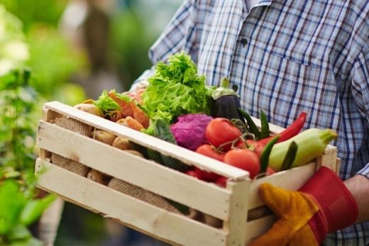 Em 2022. Superávit do agronegócio no Estado é de US$ 20,82 bilhões, 44,4% superior ao obtido em 2021