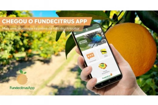 Fundecitrus App chega para auxiliar trabalho dos citricultores no campo