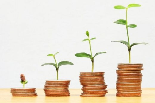 Em 2022. Cereais e leguminosas foram os produtos com maior número de hectares de área plantada e produzidas