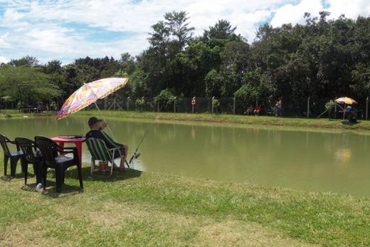 'Rota do Peixe'. Pesque Pague instalado no Assentamento Monte Alegre, em Motuca