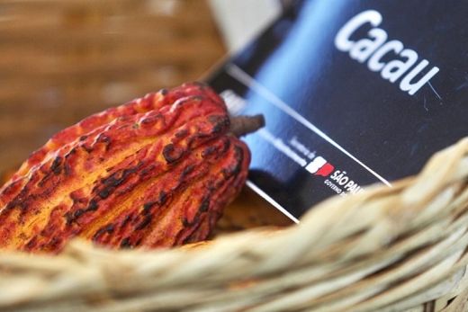Programa Cacau SP. Estado de São Paulo se mostra cada vez mais inovador e sustentável no cenário rural
