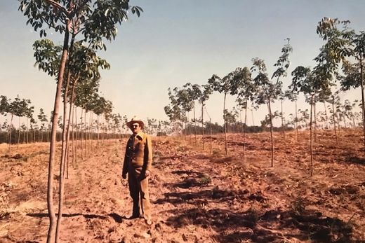 Visionário. Waldemar Capparelli investiu no plantio de 7.000 pés de seringueiras em 1987