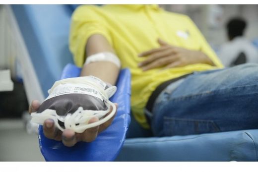 Doadores de sangue.  1,4% da população brasileira doa sangue regularmenteT