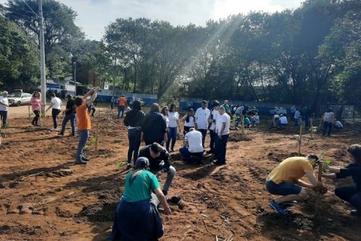 Perto da antiga Pedreira. Com mudas doadas pela Baldan, atividade realizada no último dia 24 homenageou 90 crianças nascidas em maio
