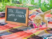Adote um melhor amigo — foto 9 de 14