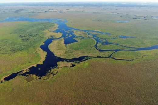 Pesquisadores encontram lago oculto no Pantanal — foto 3 de 3