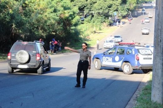 Vaca é atropelada por caminhão frigorífico — foto 2 de 2