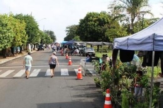 Feira do Bosque reabre, mas precisa de conscientização da população — foto 3 de 5