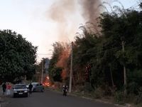 Incêndio destrói  mata no Residencial Azul Ville — foto 3 de 3