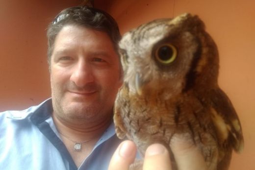 Varredura de fogo atinge a fauna da região — foto 3 de 3
