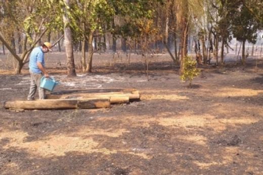 Incêndio causou destruição e prejuízos para agricultor — foto 2 de 3