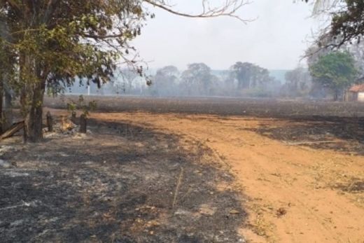 Incêndio causou destruição e prejuízos para agricultor — foto 3 de 3