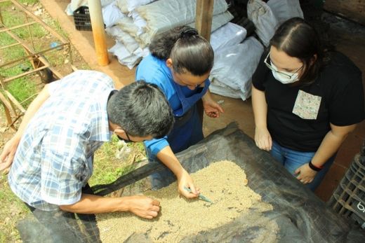 Equipe de Responsabilidade Social participa de capacitação ambiental — foto 2 de 2