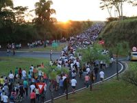 Fotos: Domingo de Ramos foi marcado pela 32ª Caminhada da Fé até Silvânia — foto 4 de 5