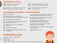 Sociedade se mobiliza para o combate ao abuso sexual em crianças e adolescentes — foto 2 de 2