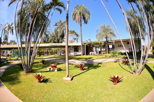 Associados da Sorema ganham novidades — foto 2 de 7