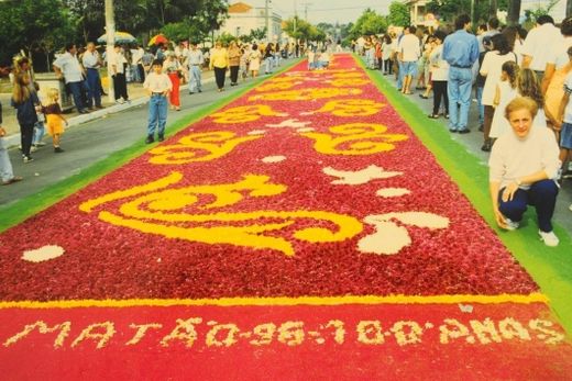 Corpus Christi - Aos artistas, os nossos aplausos! — foto 7 de 19