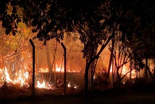 Incêndio em mata deixa moradores com problemas respiratórios — foto 2 de 2