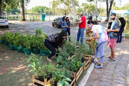 Lixo eletrônico coletado enche carretas de dois caminhões — foto 2 de 2