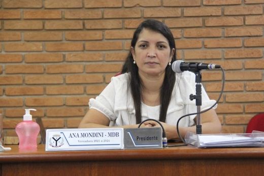 Parlamento Jovem tem criação aprovada pela Câmara Municipal — foto 3 de 3