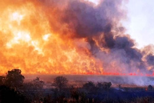 Incêndio em canavial prejudica visibilidade de rodovia — foto 2 de 13