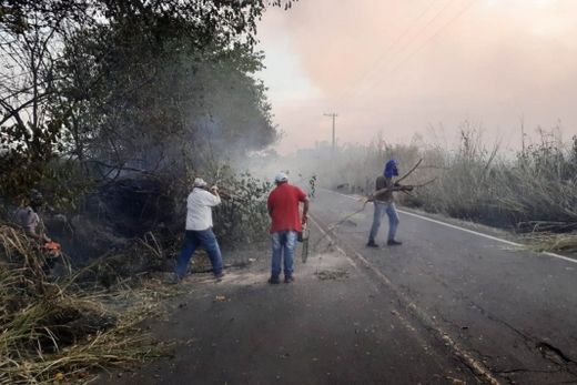 Incêndio em canavial prejudica visibilidade de rodovia — foto 3 de 13