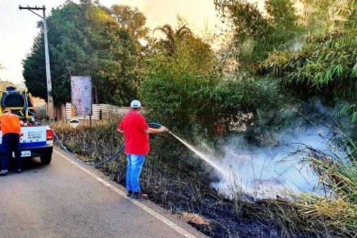 Incêndio em canavial prejudica visibilidade de rodovia — foto 6 de 13