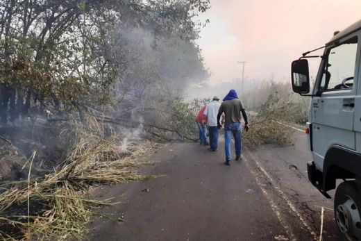 Incêndio em canavial prejudica visibilidade de rodovia — foto 8 de 13
