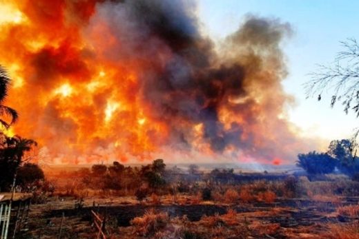 Incêndio em canavial prejudica visibilidade de rodovia — foto 11 de 13