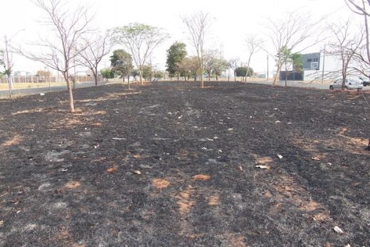 Cidade sofre com os incêndios — foto 2 de 3