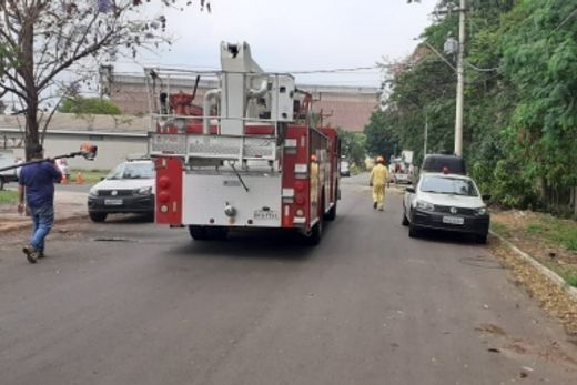 Força tarefa cuida das árvores quebradas pela ventania — foto 2 de 6