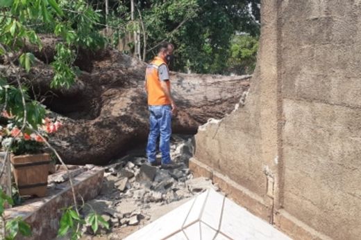 Força tarefa cuida das árvores quebradas pela ventania — foto 4 de 6