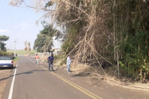 Força tarefa cuida das árvores quebradas pela ventania — foto 6 de 6