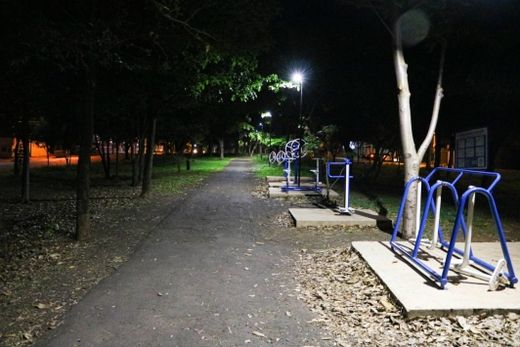 Troca da iluminação da Matinha do Bosque é finalizada — foto 2 de 4
