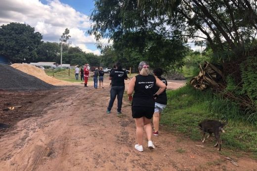 Animais do Canil ganham salsicha em confraternização — foto 2 de 3