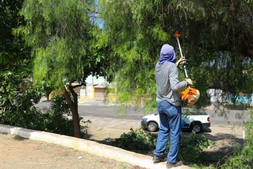 Serviços de roçagem são intensificados no fim do ano — foto 3 de 3