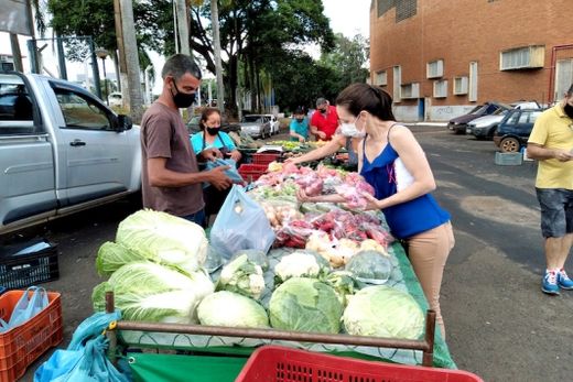 Alimentos do campo para o consumidor — foto 2 de 4