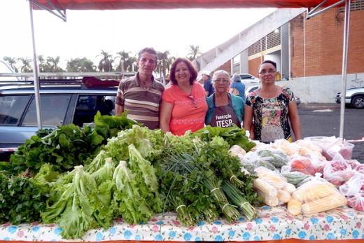 Alimentos do campo para o consumidor — foto 3 de 4