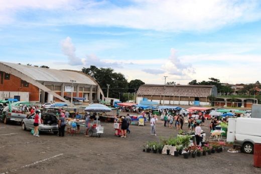 Alimentos do campo para o consumidor — foto 4 de 4